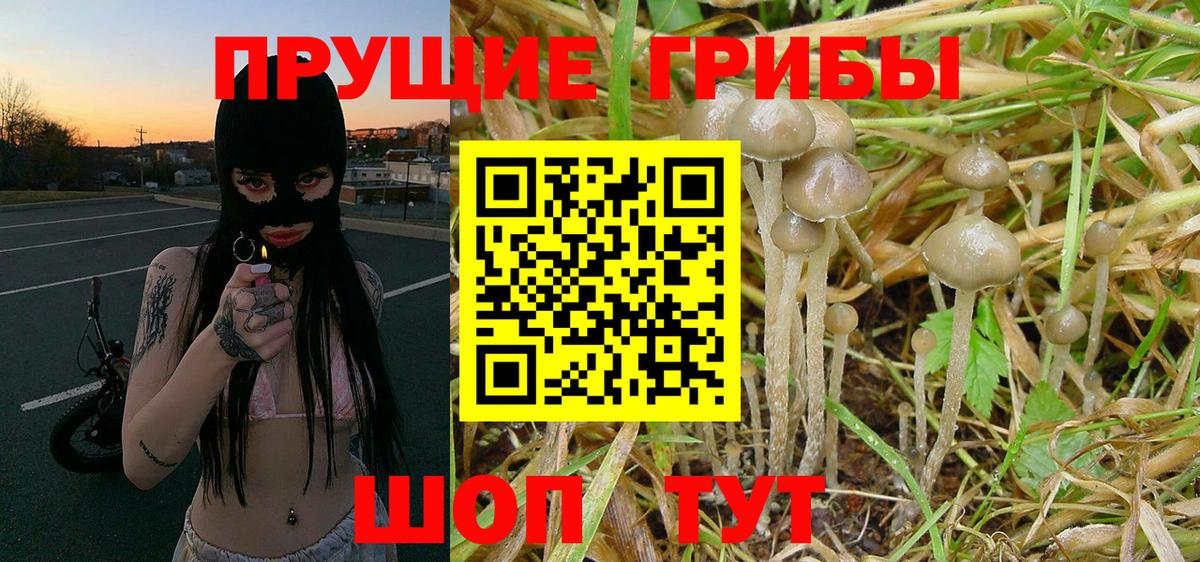 Галлюциногенные грибы MAGIC MUSHROOMS Шадринск